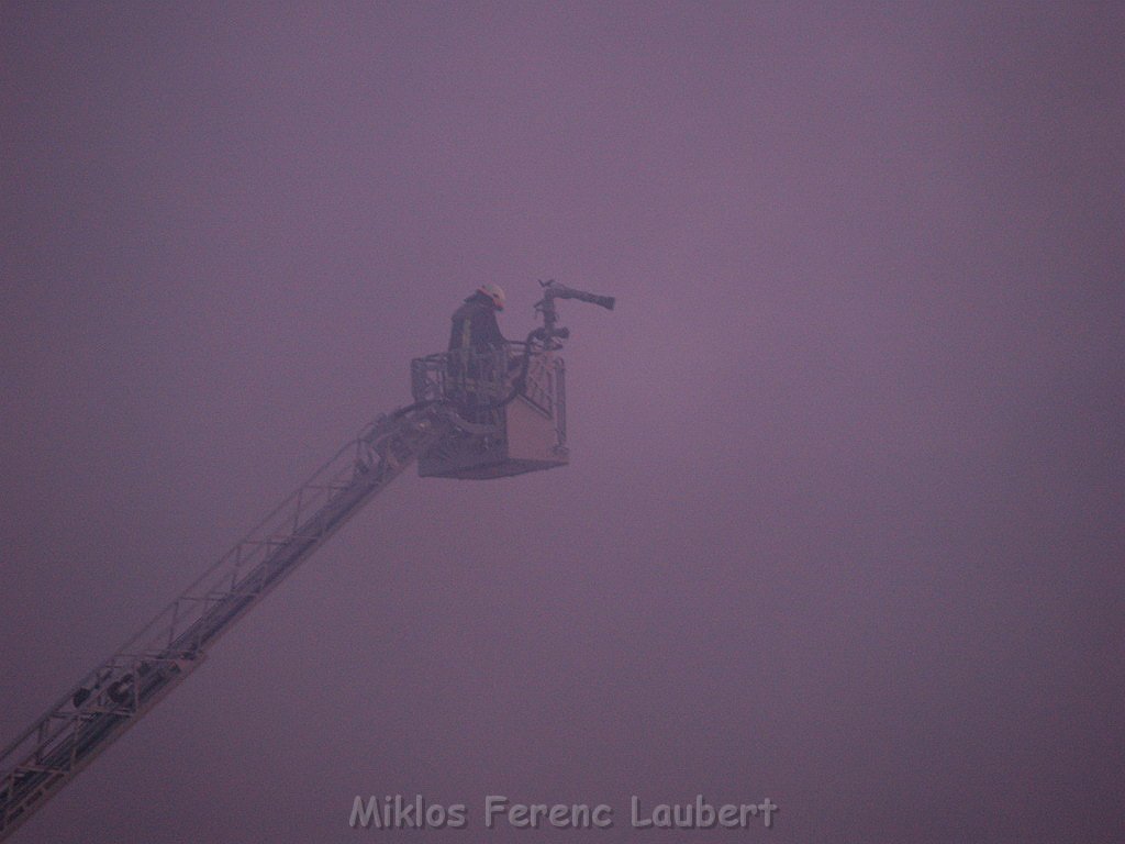 Grossbrand Halle auf dem Grossmarkt Koeln P639.JPG